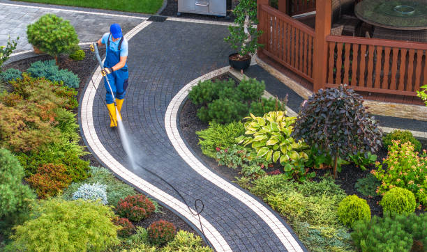 Best Roof Power Washing Services  in Eaton, CO
